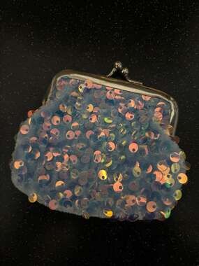 Greenbrier Sequin Coin Purse